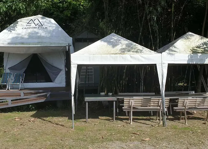 The Field Ban Kluai (Ratchaburi)